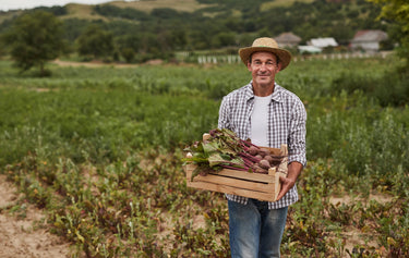4 Beetroot Benefits for Men You Need To Know About – Zen Principle Naturals