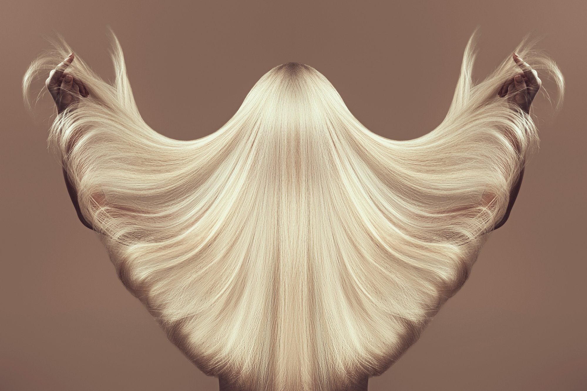 Moringa Benefits for Hair: Everything You Need to Know