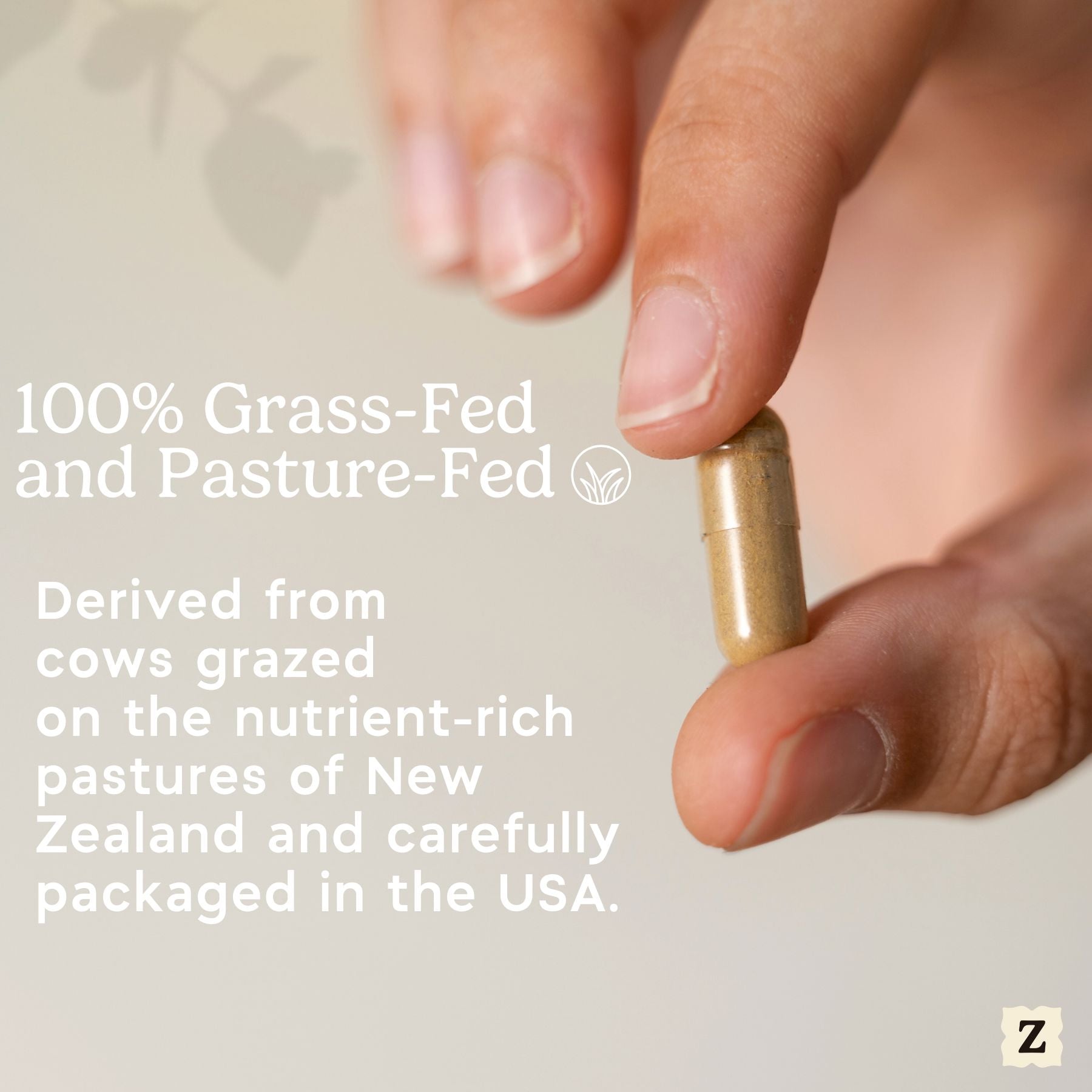 Beef Intestine Capsules Zen Principle Naturals 