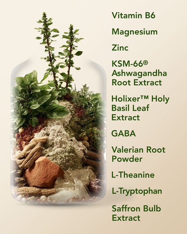 Zenease ingredients: Vitamin B6, Magnesium, Zinc, KSM-66 Ashwagandha Root Extract, Holixer Holy Basil Leaf Extract, GABA, Valerian Root Powder, L-Theanine, L-Tryptophan and Saffron Bulb Extract