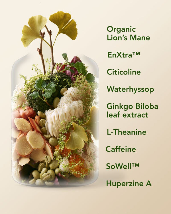 Zentelligence ingredients: Organic Lion's Mane, EnXtra, Citicoline, Waterhyssop, Ginkgo Biloba leaf extract, L-Theanine, Caffeine, SoWell and Huperzine A