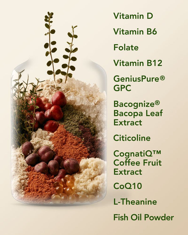 Zentelligence Gold ingredients: Vitamin D, Vitamin B6, Folate, Vitamin B12, GeniusPure GPC, Bacognize Bacopa Leaf Extract, Citicoline, CognatiQ Coffee Fruit Extract, CoQ10, L-Theanine and Fish Oil Powder